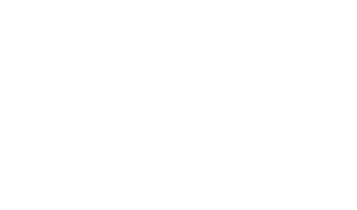 Lori Christine Young Hero Logo.new